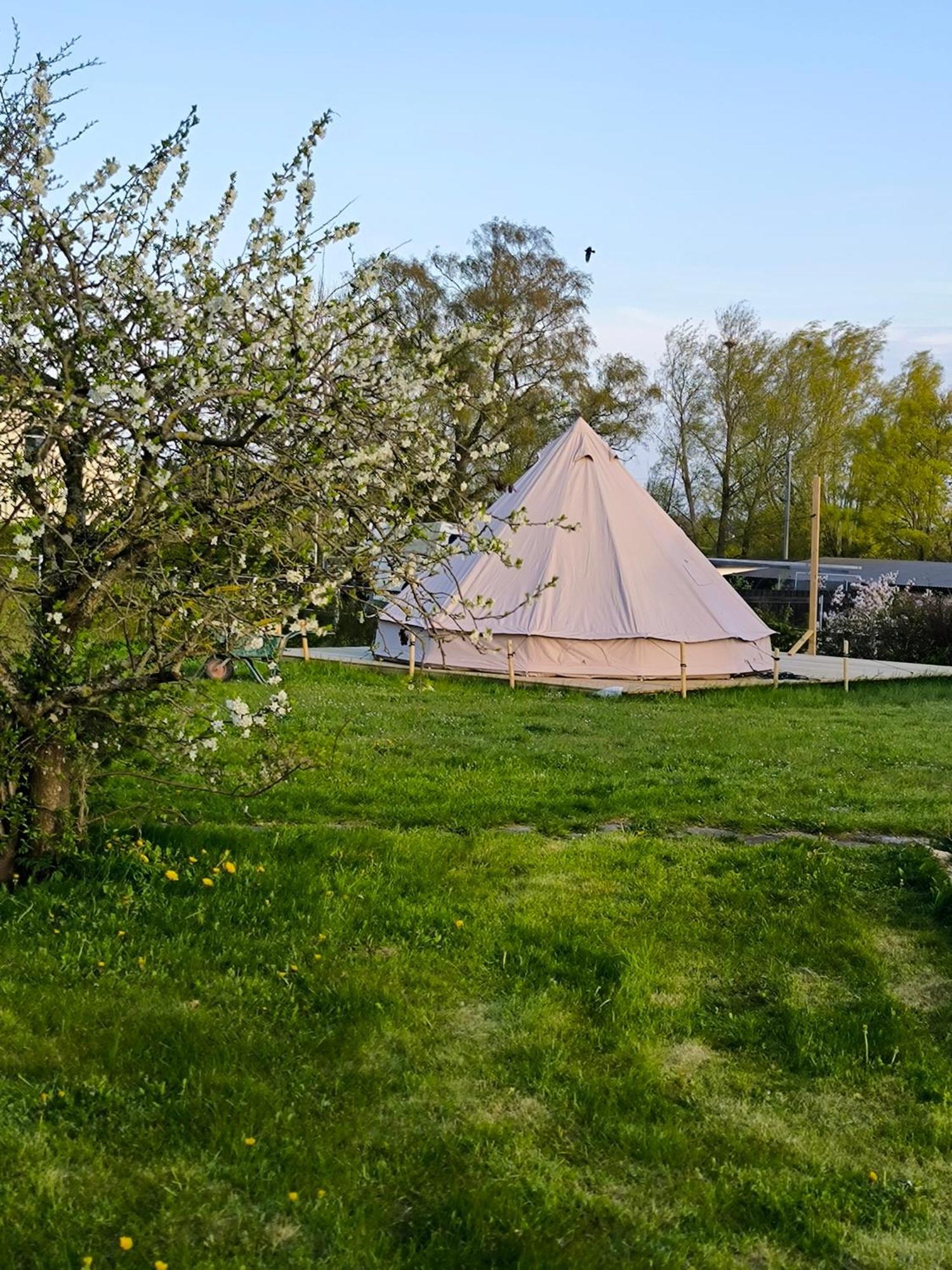 Luxury Tent With Restroom And Shower, Close To The Beach 斯塔德 外观 照片